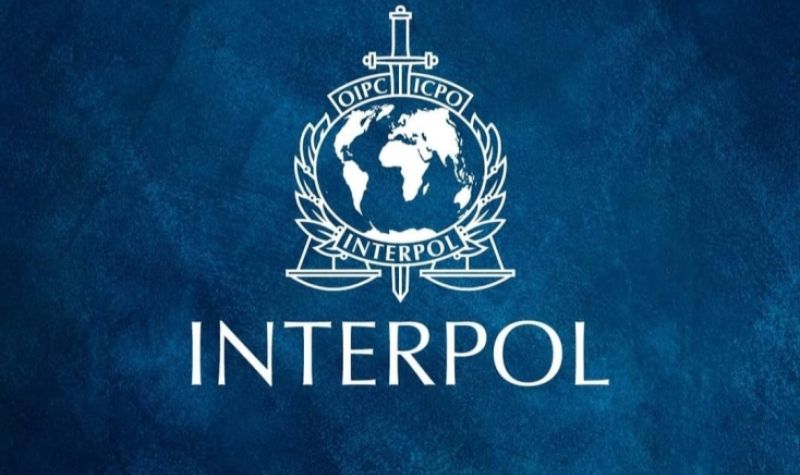 Interpol raspisao ŽUTU POTERNICU za Dankom Ilić
