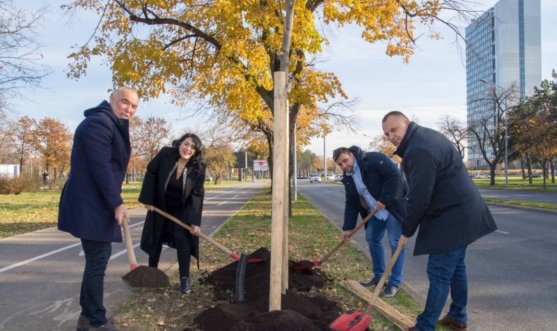 Sadnjom novih stabala počela akcija „Zeleni Novi Beograd”