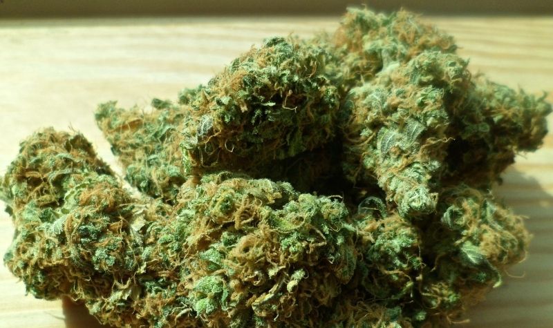 Sprečeno krijumčarenje 40 kilograma marihuane u Crnoj Gori