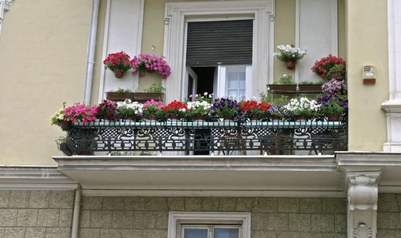 Akcija ''Za zeleniji Beograd'' - Najlepši balkon Beograda u ulici kneza Sime Markovića