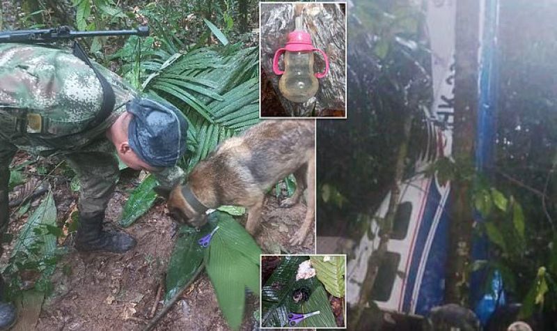 Troje dece i beba pronađeni ŽIVI u džungli 15 dana od pada aviona - Troje odraslih poginulo
