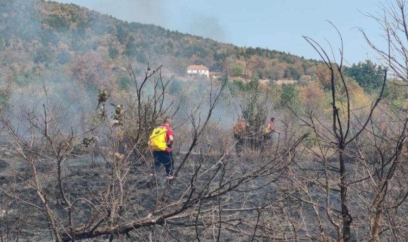 Saradnja svih sektora MUP-a Srbije daje rezultate u gašenju požara