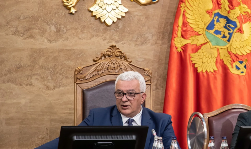 Mandić: Vučić govori istinu, ideja o Rezoluciji o Jasenovcu je potekla od mene