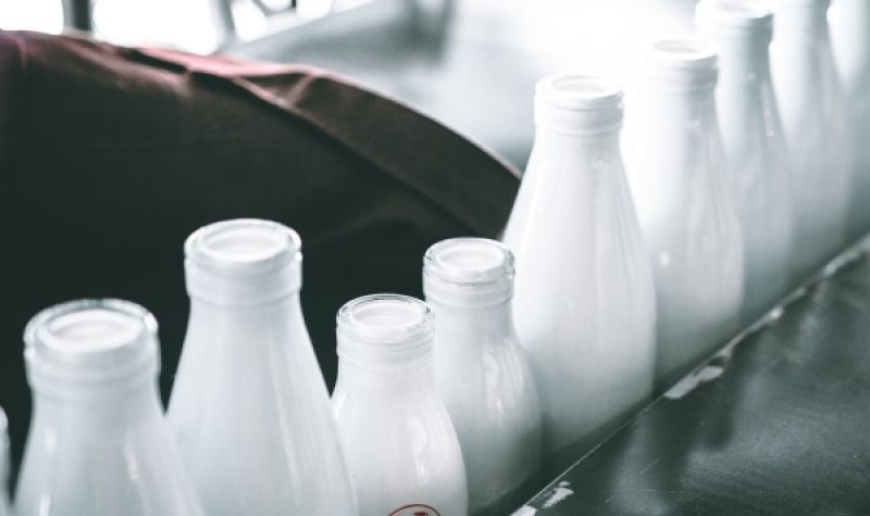 Zabrana izvoza mleka i mlečnih proizvoda PRODUŽENA do 30. novembra