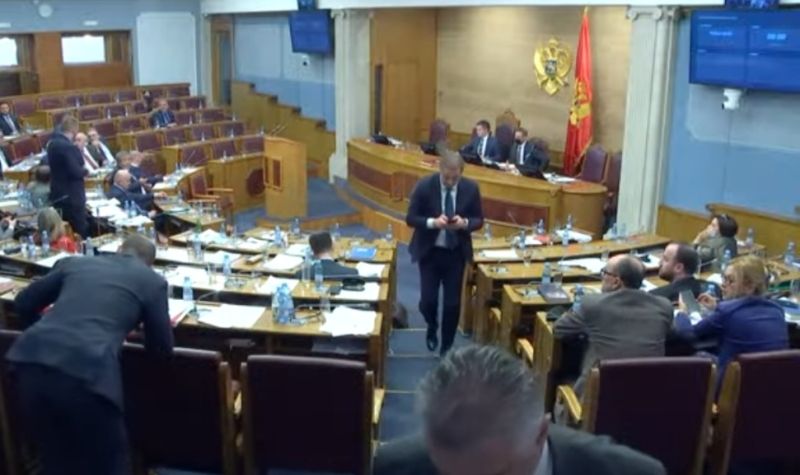 Rasprava u crnogorskoj skupštini - Vlada na korak od pada ali donosi odluke!