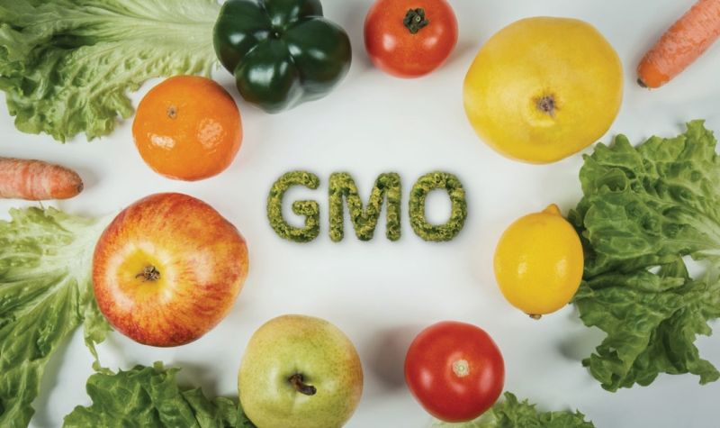 DEMANTI Sekretarijata za zaštitu životne sredine - Nismo dali spisak proizvođača GMO hrane