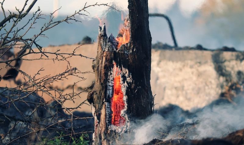 Veliki požar na Kritu - više od 200 vatrogasaca se bori sa vatrom