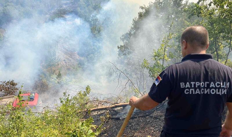 Veliki požar kod Sremske Mitrovice - ogromna šteta