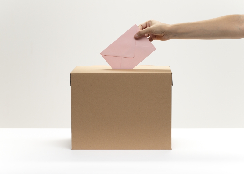 Danas ističe ROK za predaju izbornih lista za lokalne izbore