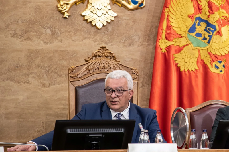 Mandić: Vučić govori istinu, ideja o Rezoluciji o Jasenovcu je potekla od mene